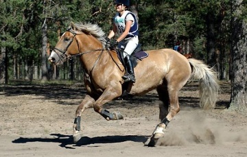 Kampraatti ja Sanna kansallisissa kenttkilpailuissa